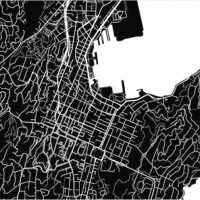 connect-wellington-nz